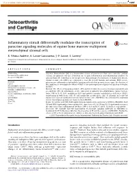 Inflammatory Stimuli Differentially Modulate the Transcription of Paracrine Signaling Molecules of Equine Bone Marrow Multipoten