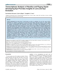 Transcriptome Analysis of Nautilus and Pygmy Squid Developing Eye Provides Insights in Lens and Eye Evolution