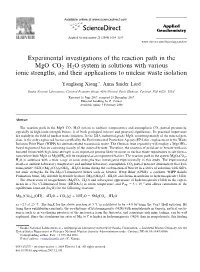Experimental Investigations of the Reaction Path in the Mgo–CO2