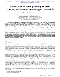 Effects of Short-Term Plasticity in Early Olfactory Information Processing in Drosophila