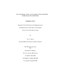 New Mechanisms in Nitric Oxide Synthase Related Endothelial Dysfunction in the Isolated Heart DISSERTATION
