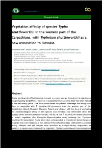 Vegetation Affinity of Species Typha Shuttleworthii in the Western Part of the Carpathians, with Typhetum Shuttleworthii As a New Association to Slovakia