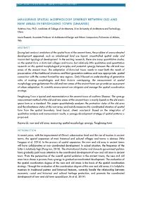 Measuring Spatial Morphology Synergy Between Old and New Areas in Fenghuang Town (Shaanxi)