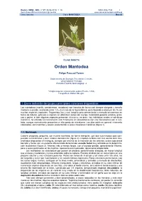 Orden MANTODEA Manual