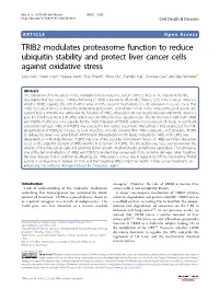 TRIB2 Modulates Proteasome Function to Reduce Ubiquitin Stability And