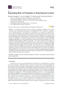 Expanding Role of Ubiquitin in Translational Control