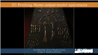 Homo Naledi Model Specimens