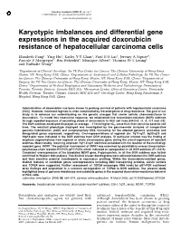 Karyotypic Imbalances and Differential Gene Expressions in the Acquired Doxorubicin Resistance of Hepatocellular Carcinoma Cells