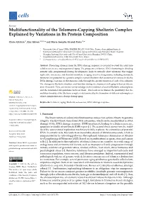 Multifunctionality of the Telomere-Capping Shelterin Complex Explained by Variations in Its Protein Composition
