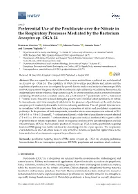 Preferential Use of the Perchlorate Over the Nitrate in the Respiratory Processes Mediated by the Bacterium Azospira Sp