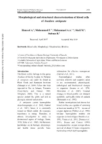 Short Communication:Morphological and Structural Characterization Of
