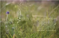 The Number Is Counterintuitive, but Arizona Ranks Third in the Nation in Terms of Plant Diversity, with Nearly 5,000 Different Species