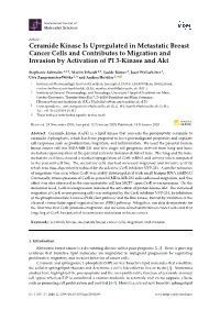 Ceramide Kinase Is Upregulated in Metastatic Breast Cancer Cells and Contributes to Migration and Invasion by Activation of PI 3-Kinase and Akt