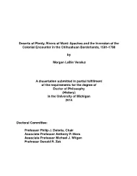 Morgan Labin Veraluz Dissertation
