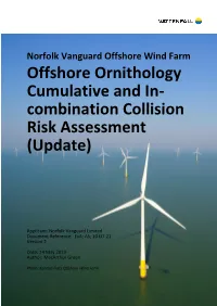 Offshore Ornithology Cumulative and In- Combination Collision Risk Assessment (Update)