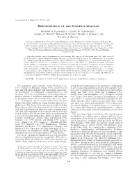 Disintegration of the Scrophulariaceae1