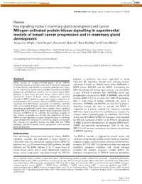 Mitogen-Activated Protein Kinase Signalling in Experimental Models