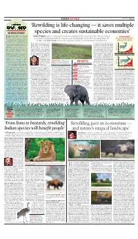 Rewilding Is Life-Changing — It Saves Multiple Species
