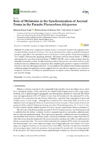 Role of Melatonin in the Synchronization of Asexual Forms in the Parasite Plasmodium Falciparum