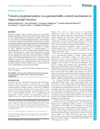 Tubulin Polyglutamylation Is a General Traffic-Control Mechanism In