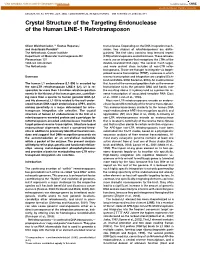 Crystal Structure of the Targeting Endonuclease of the Human LINE-1 Retrotransposon