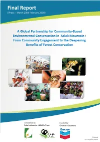 Final Report (Phase : March 2008-February 2009)