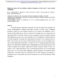 Molecular Basis for the Distinct Cellular Functions of the Lsm1-7 and Lsm2-8 Complexes