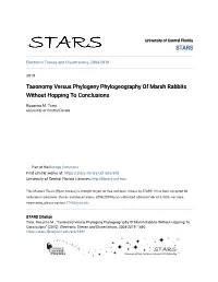 Taxonomy Versus Phylogeny Phylogeography of Marsh Rabbits Without Hopping to Conclusions