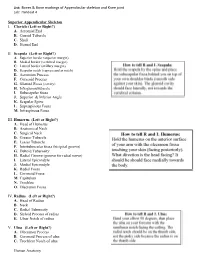 List: Bones & Bone Markings of Appendicular Skeleton and Knee