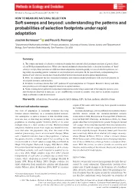 Soft Sweeps and Beyond: Understanding the Patterns and Probabilities of Selection Footprints Under Rapid Adaptation