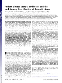 Ancient Climate Change, Antifreeze, and the Evolutionary Diversification