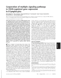 Cooperation of Multiple Signaling Pathways in CD40-Regulated Gene Expression in B Lymphocytes