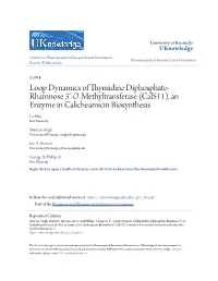 Loop Dynamics of Thymidine Diphosphate- Rhamnose 3'-O-Methyltransferase (Cals11), an Enzyme in Calicheamicin Biosynthesis Lu Han Rice University