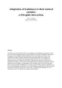 A Tritrophic Interaction