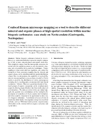 Confocal Raman Microscope Mapping As a Tool to Describe Different