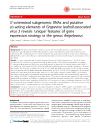 3′-Coterminal Subgenomic Rnas and Putative Cis-Acting Elements of Grapevine Leafroll-Associated Virus 3 Reveals 'Unique' F