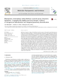 Phylogenetic Relationships Within Bothrops Neuwiedi Group