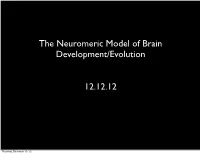 The Neuromeric Model of Brain Development/Evolution 12.12.12