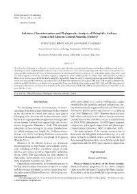 Isolation, Characterization and Phylogenetic Analysis of Halophilic Archaea from a Salt Mine in Central Anatolia (Turkey)