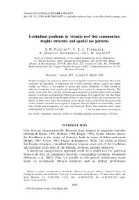 Latitudinal Gradients in Atlantic Reef Fish Communities: Trophic Structure and Spatial Use Patterns