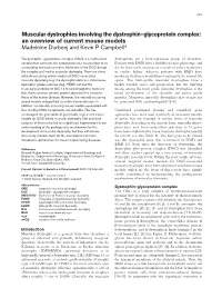 Muscular Dystrophies Involving the Dystrophin–Glycoprotein Complex: an Overview of Current Mouse Models Madeleine Durbeej and Kevin P Campbell*