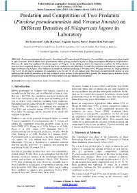 Pardosa Pseudoannulata and Verania Lineata) on Different Densities of Nilaparvata Lugens in Laboratory