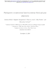 Phylogenetic Reconstruction Based on Synteny Block and Gene Adjacencies