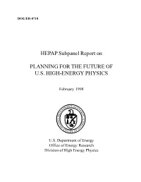 High Energy Physics Subpanel Report