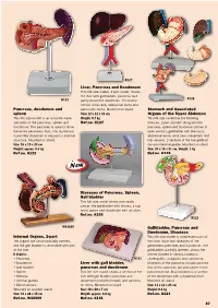 Liver, Pancreas and Duodenum Stomach and Associated Organs Of