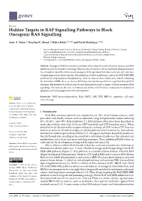 Hidden Targets in RAF Signalling Pathways to Block Oncogenic RAS Signalling