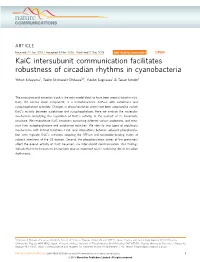 Kaic Intersubunit Communication Facilitates Robustness of Circadian Rhythms in Cyanobacteria
