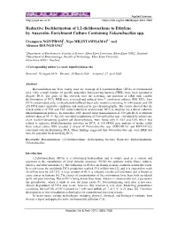Synthesis of Patterned Media by Self-Assembly of Magnetic