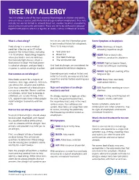 Tree Nut Allergy