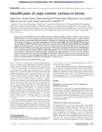 Identification of Copy Number Variants in Horses